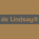 Delindsay Logo